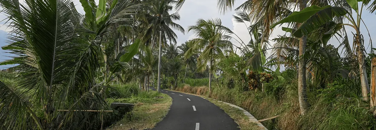 Road to Root & Rise